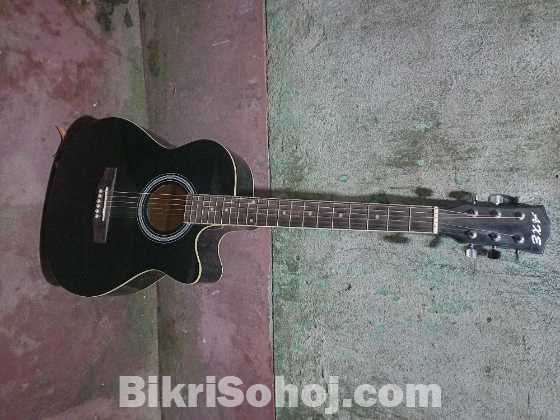 Acoustic Guitar